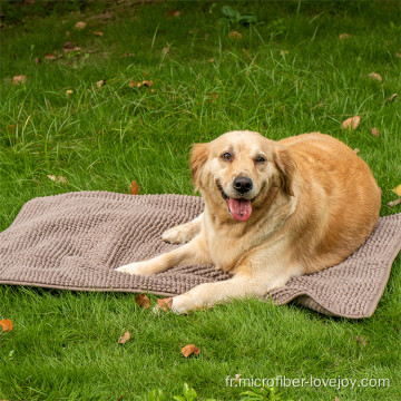 Serviettes de bain pour animaux de compagnie propres et absorbantes chenille en microfibre